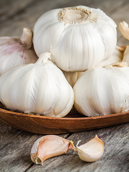 Sarımsaklı Çeşnisi